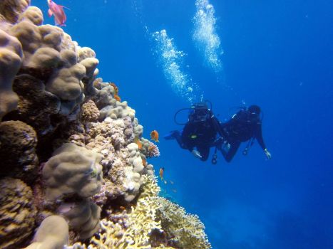 TDI Advanced Trimix Diver